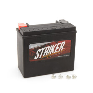 12V AGM Battery - Striker (large)
